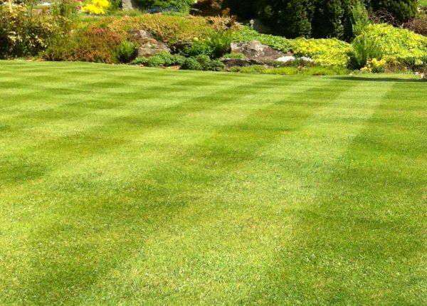 Commercial Grass Cutting in Pocatello