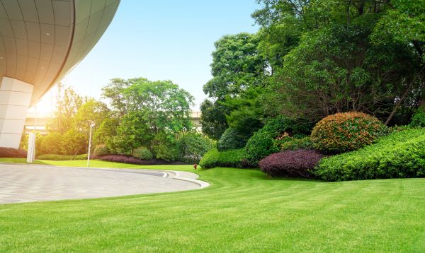 Commercial Lawn Care in Pocatello