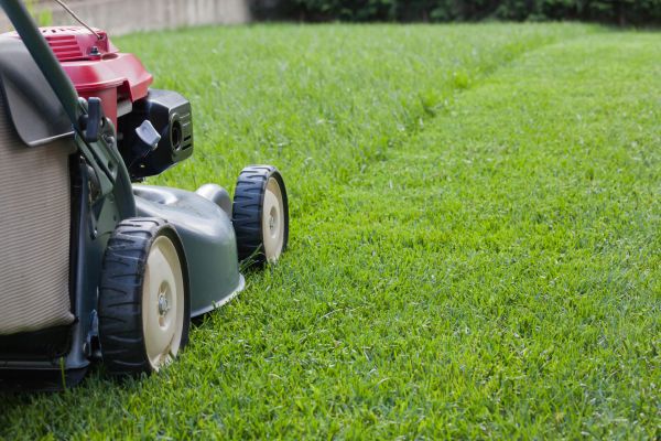 Lawn Care Service in Pocatello