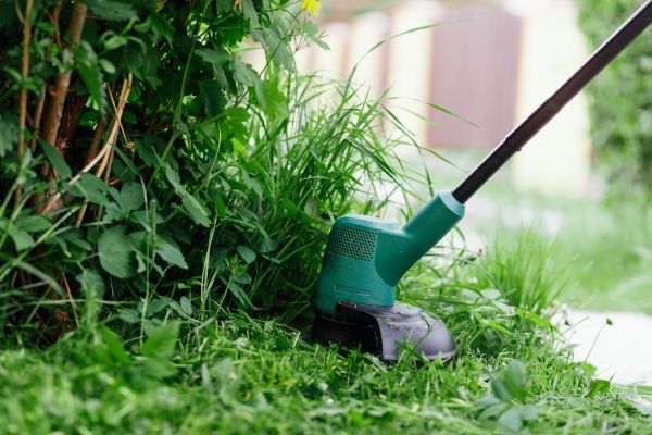 Weed Whacking in Pocatello
