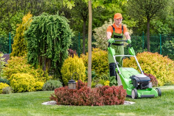 Yard Service in Pocatello