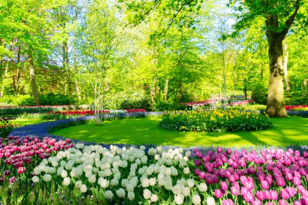 Spring Lawn Care in Pocatello
