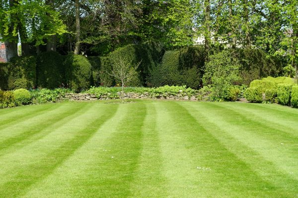 Grass Care Service in Pocatello
