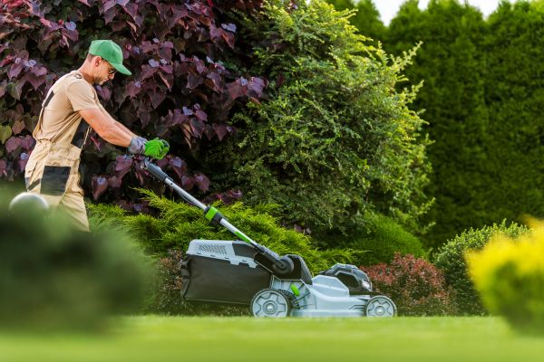 Lawn Management in Pocatello