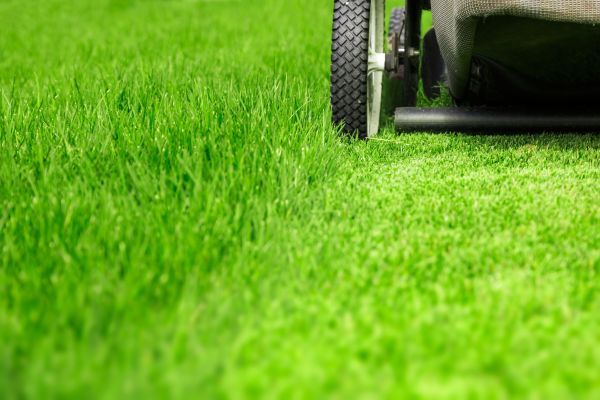 Weekly Lawn Care in Pocatello