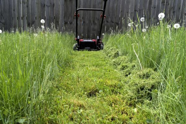 High Grass Mowing in Pocatello