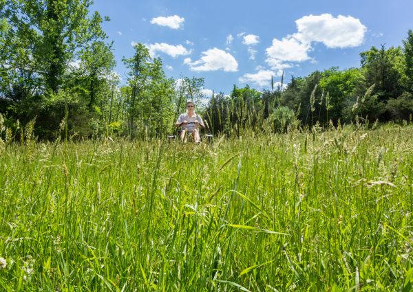 Long Grass Mowing in Pocatello