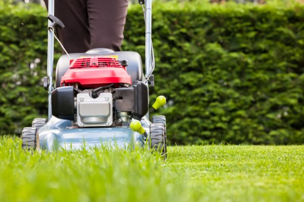Grass Trimming Service in Pocatello