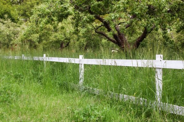 Fence Line Trimming in Pocatello