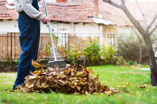 Routine Lawn Maintenance in Pocatello