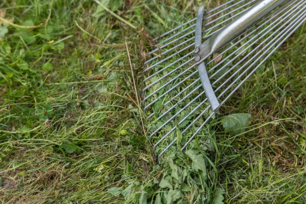 Thatch Raking in Pocatello