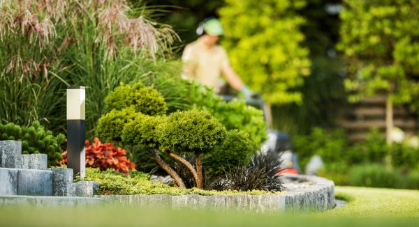 Residential Yard Maintenance in Pocatello