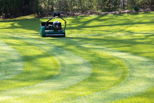 Business Lawn Mowing in Pocatello
