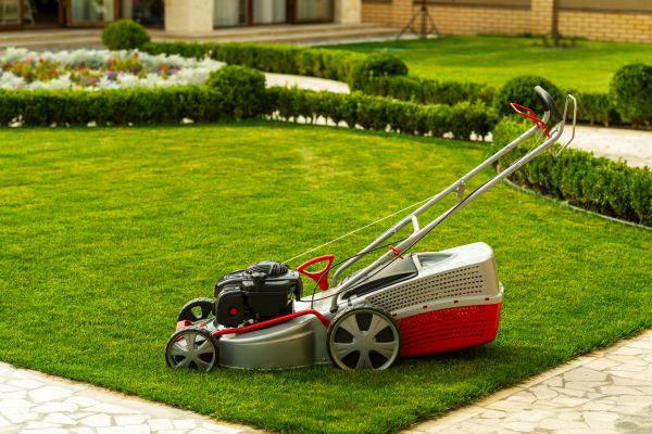 Business Grass Cutting in Pocatello