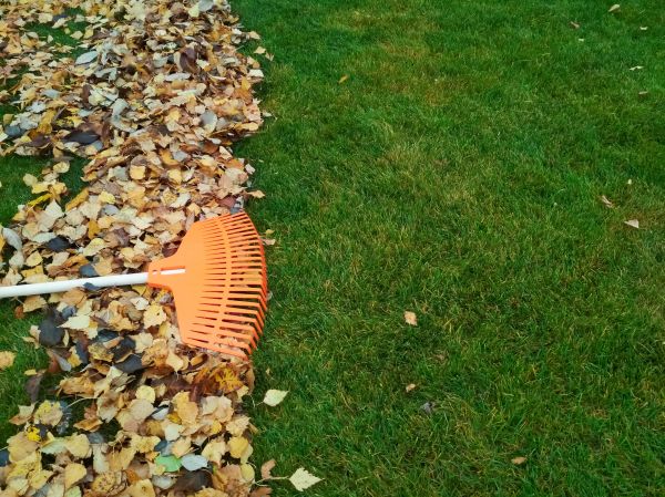 Fall Lawn Care in Pocatello