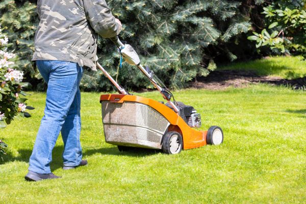 Springtime Lawn Care in Pocatello