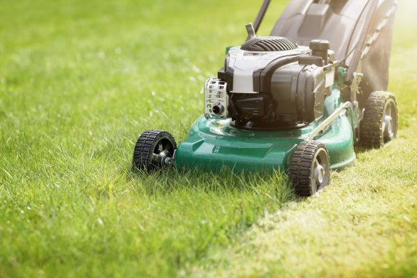 Spring Grass Trimming in Pocatello