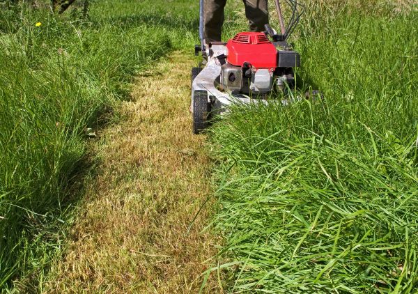 Leaf Mowing in Pocatello
