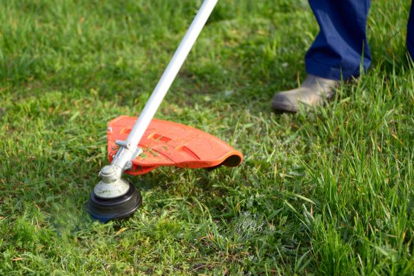 Lawn Weed Whacking in Pocatello