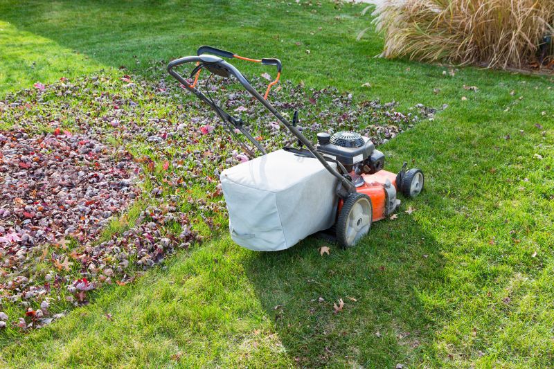 Seasonal Leaf Maintenance